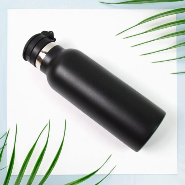 Water Bottle for Kids â€“ Insulated Stainless Steel Bottle (650 ML / 1 Pc)